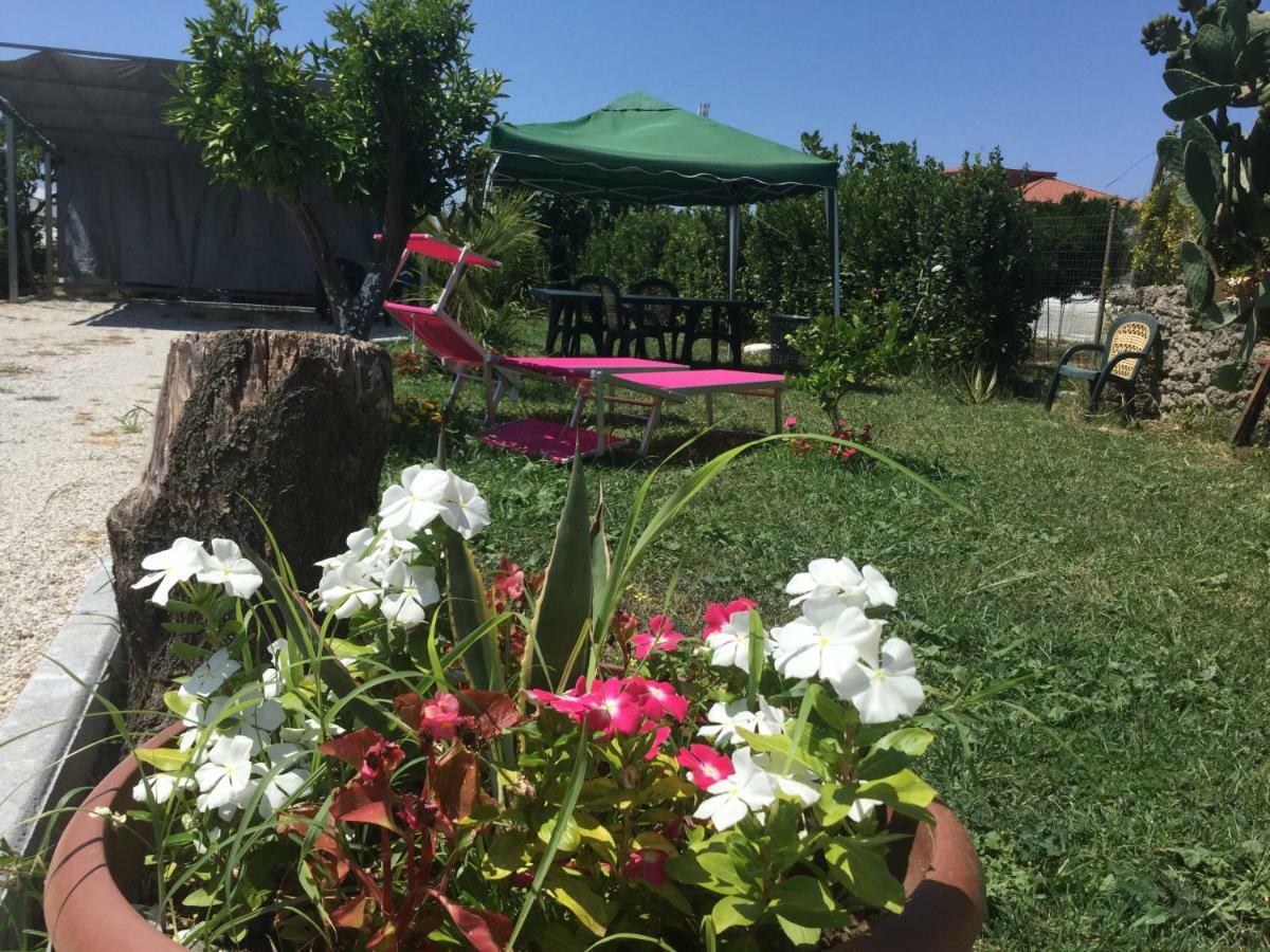Willa "La Rondinella" Salerno Amalfi Pontecagnano Zewnętrze zdjęcie